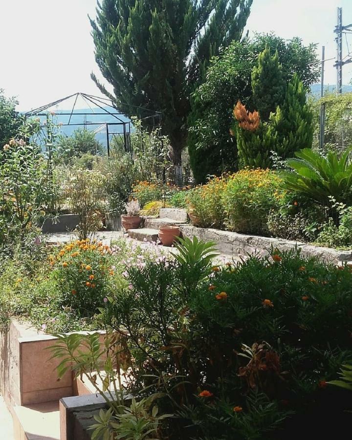 Plaza Studios Leptokarya  Dış mekan fotoğraf